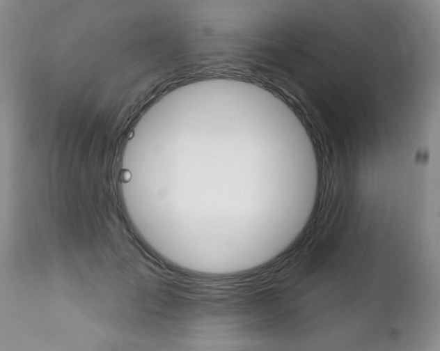 X0000111130701200906301105