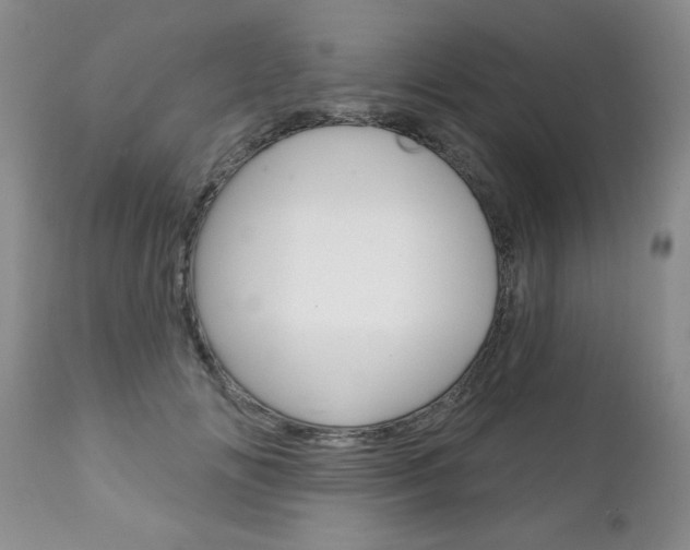 X0000111130702200906301105