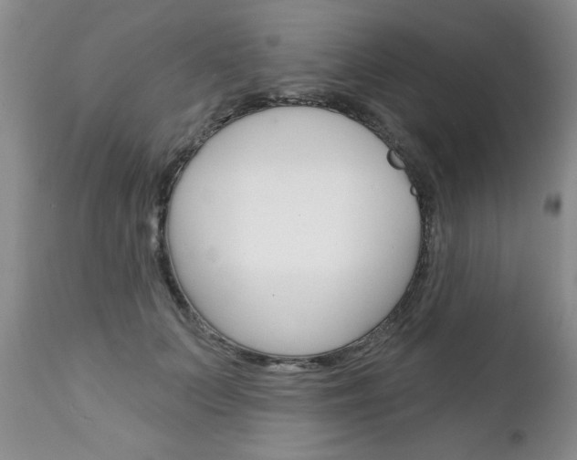 X0000111130703200906301105
