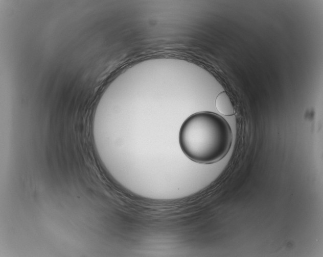 X0000111130704200906301105