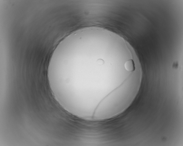 X0000111130705200906301105