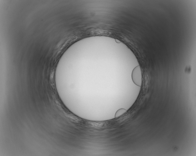 X0000111130709200906301105
