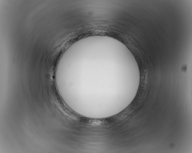 X0000111130710200906301105