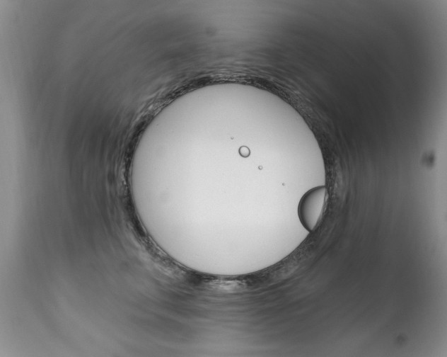 X0000111130711200906301105