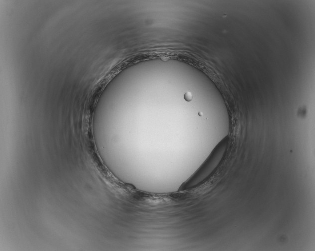 X0000111130712200906301105