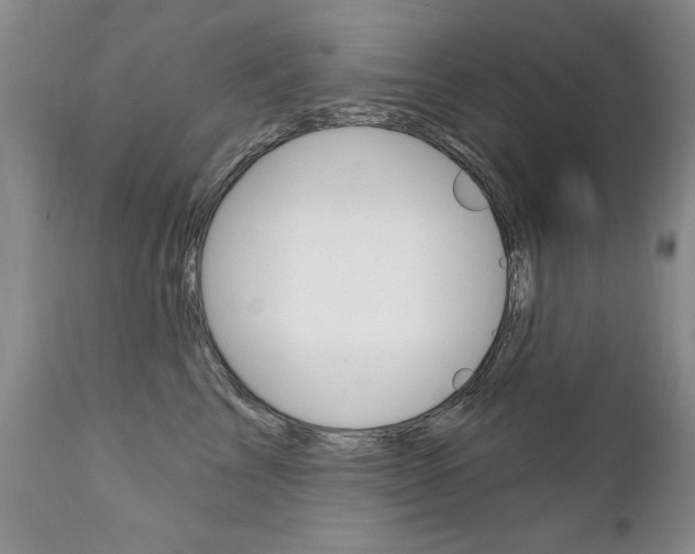 X0000111130713200906301105