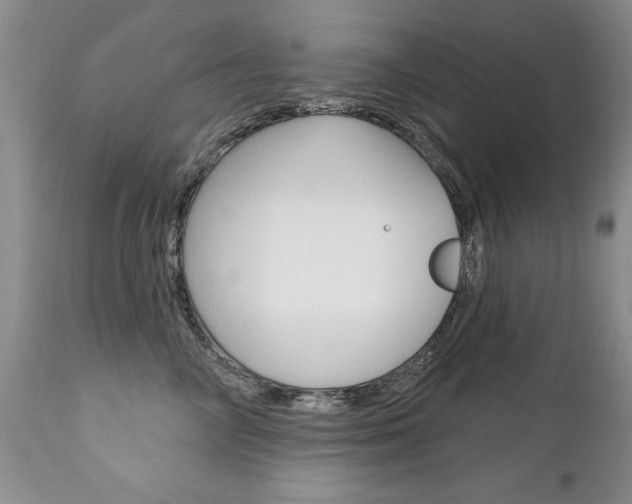 X0000111130714200906301105