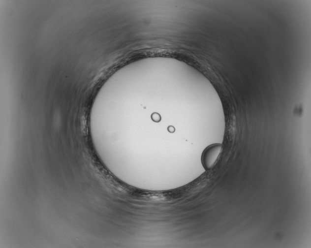 X0000111130715200906301105