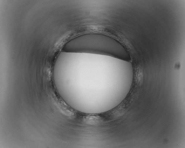 X0000111130716200906301105