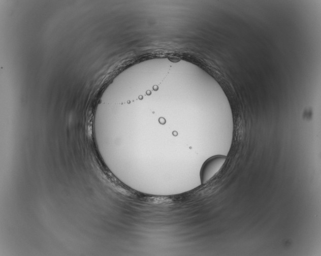 X0000111130719200906301105
