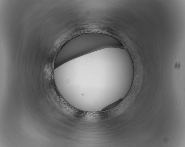 X0000111130720200906301105