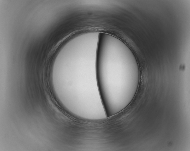 X0000111130722200906301104