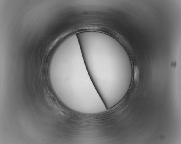 X0000111130723200906301104