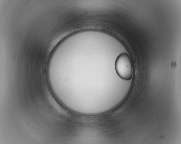 X0000111130725200906301104