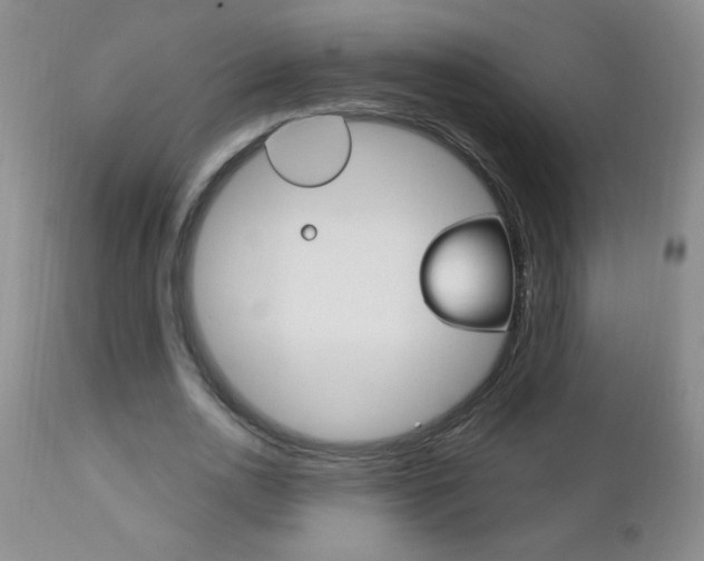 X0000111130726200906301104