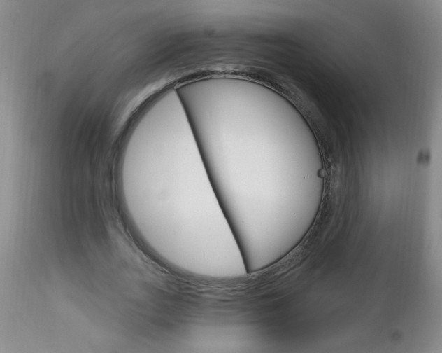 X0000111130727200906301104