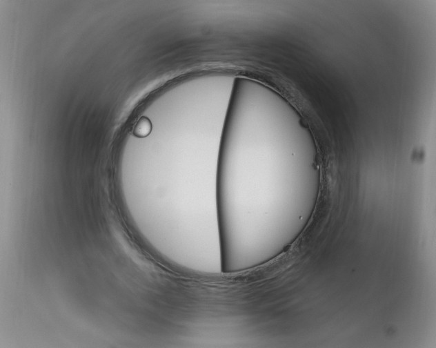 X0000111130728200906301104