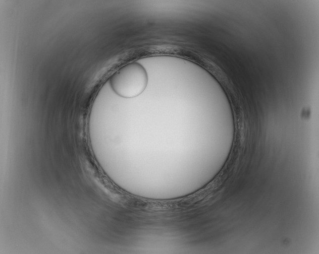 X0000111130729200906301104