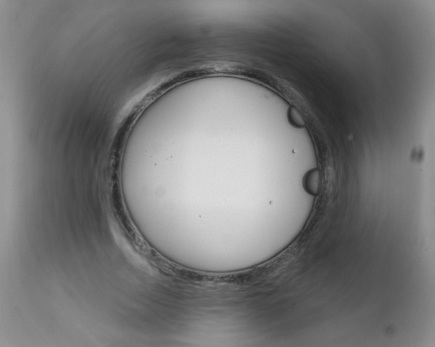 X0000111130730200906301104
