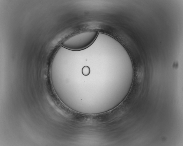 X0000111130732200906301104