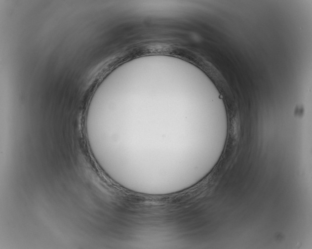 X0000111130733200906301104