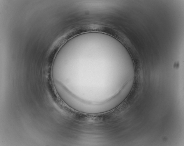 X0000111130736200906301104