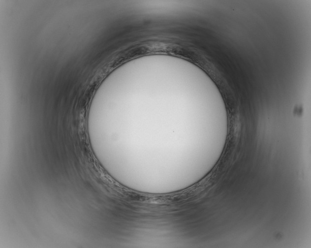 X0000111130737200906301104