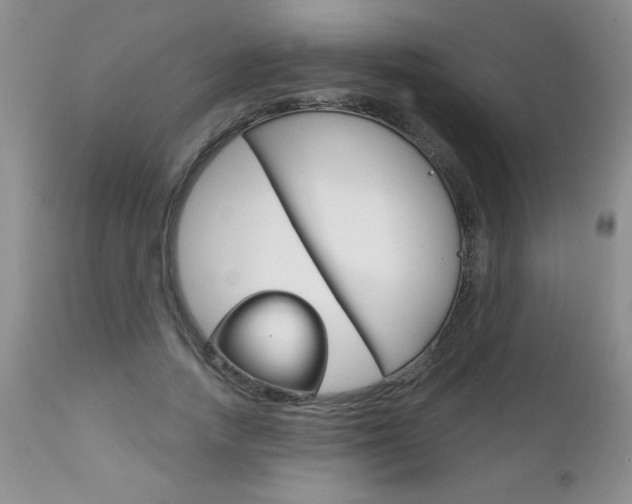 X0000111130738200906301104