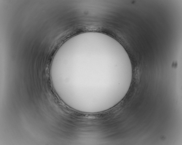 X0000111130741200906301104