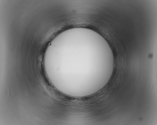X0000111130742200906301104