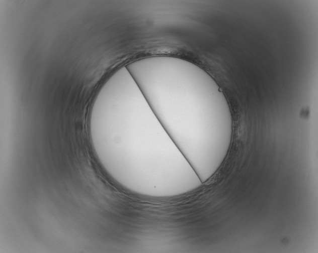 X0000111130743200906301104