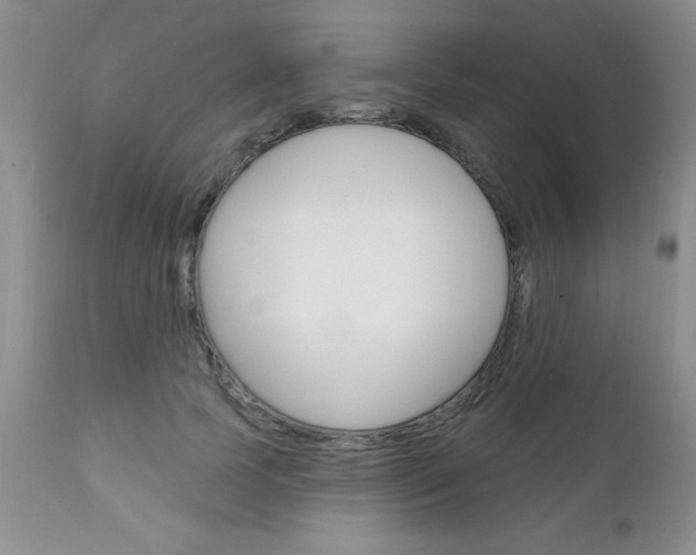 X0000111130745200906301104