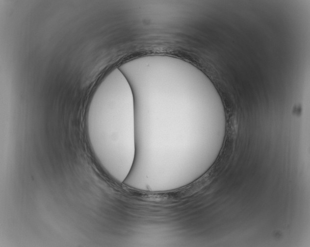 X0000111130746200906301104