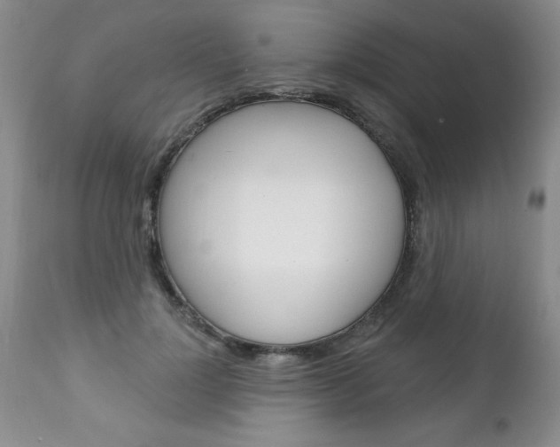 X0000111130748200906301105