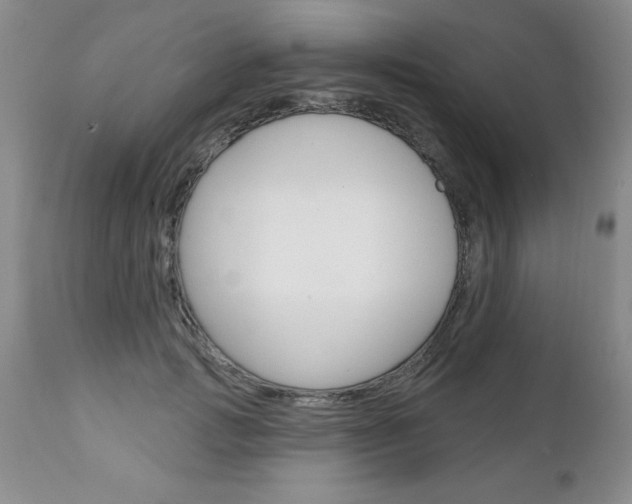X0000111130749200906301105