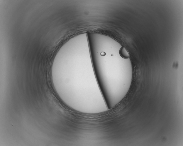 X0000111130750200906301105