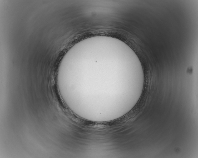 X0000111130751200906301105