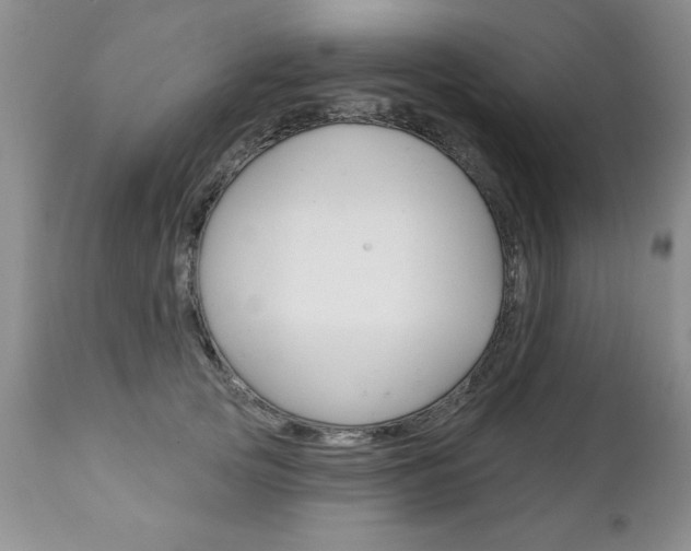 X0000111130753200906301105