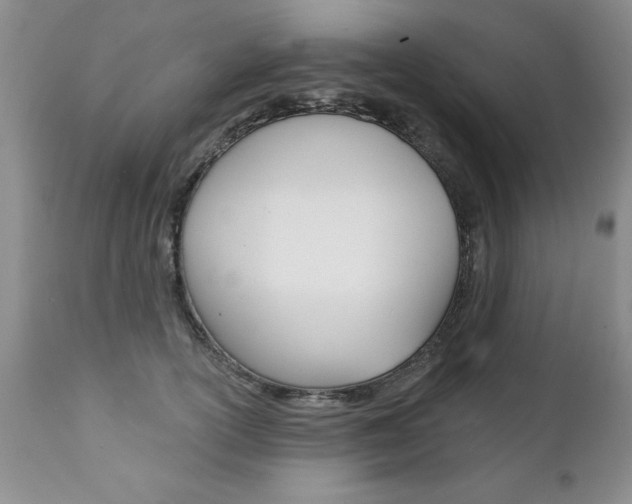 X0000111130754200906301105