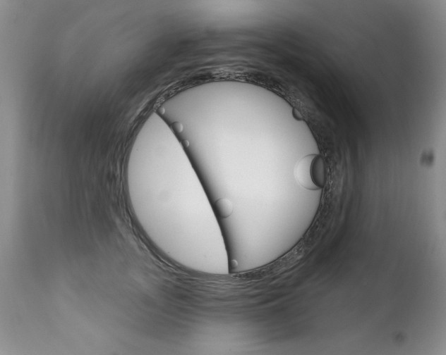 X0000111130755200906301105