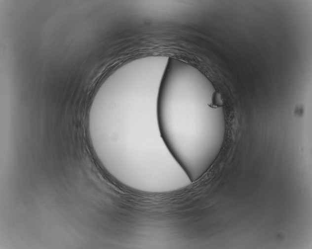 X0000111130756200906301105