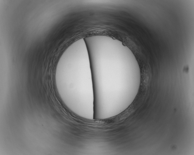 X0000111130758200906301105