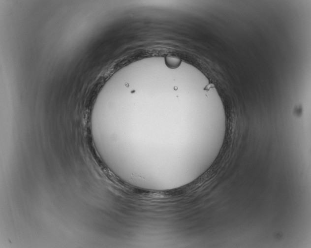 X0000111130759200906301105