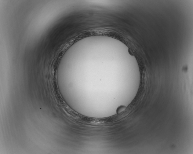 X0000111130760200906301105