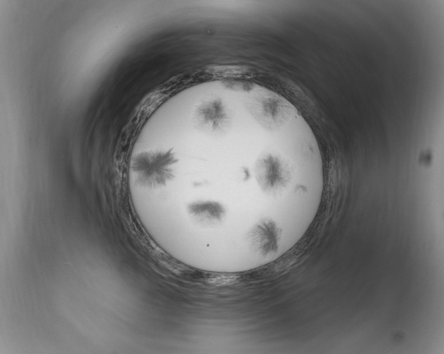 X0000111130761200906301105