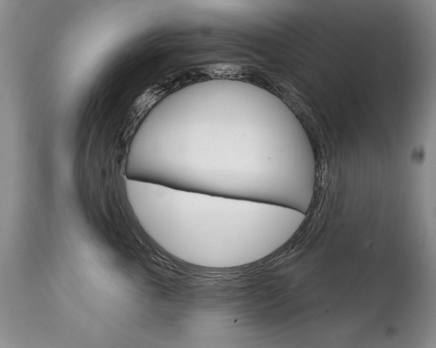 X0000111130763200906301105