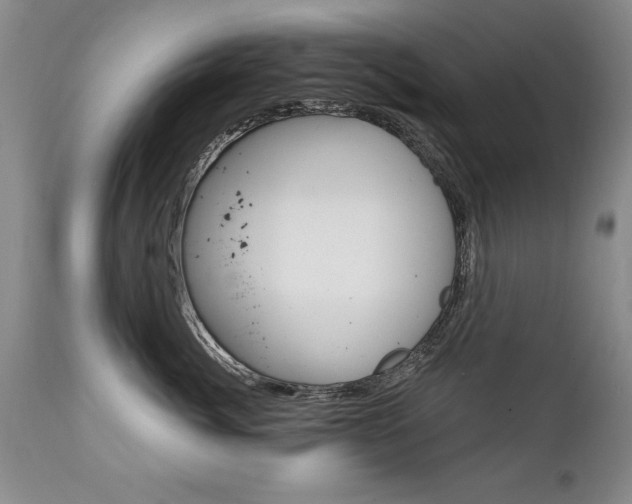 X0000111130764200906301105