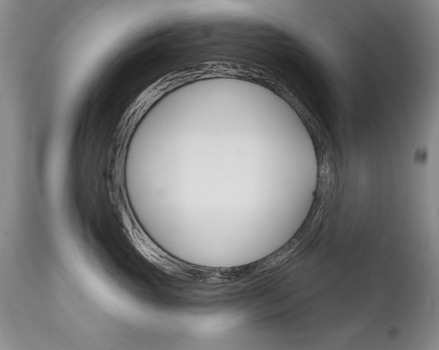 X0000111130765200906301105