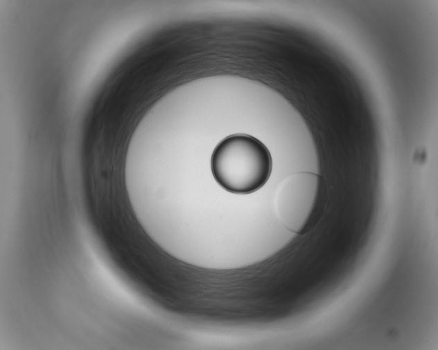 X0000111130766200906301105