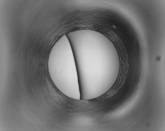X0000111130767200906301105